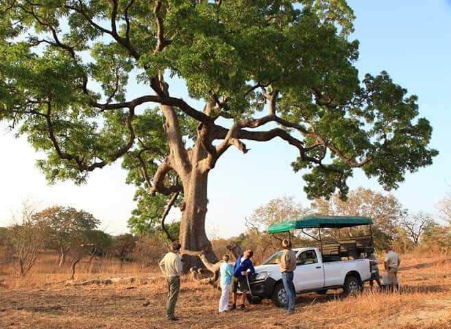 birding tours gambia